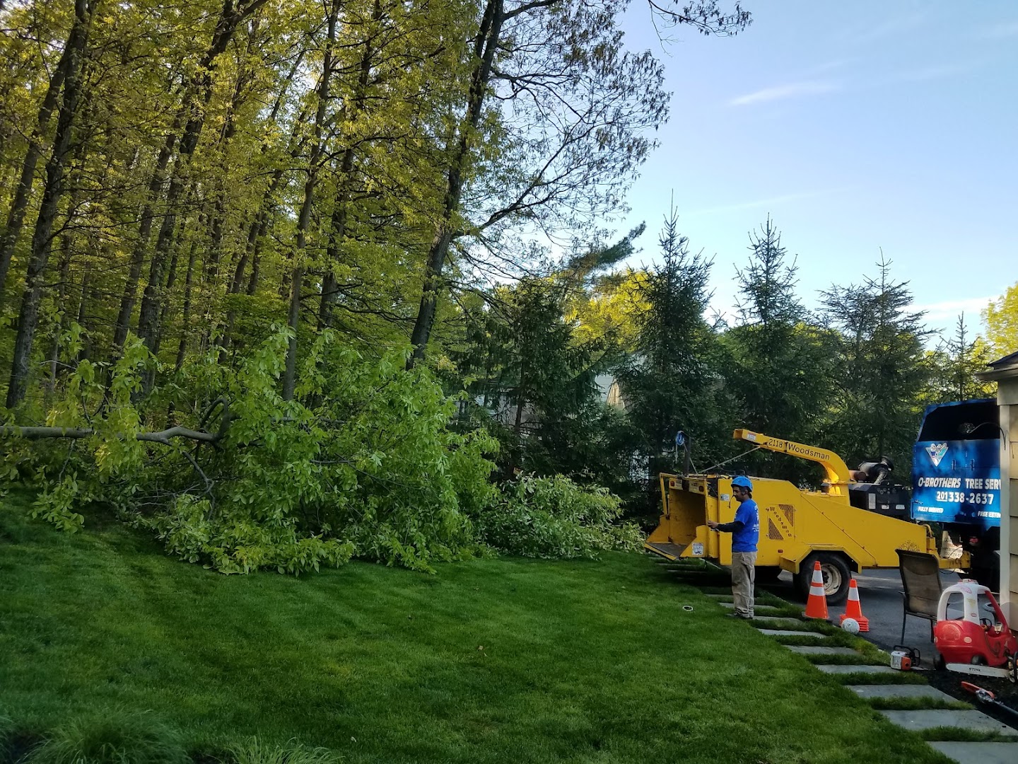 Crane working in tall trees, Bergen County NJ