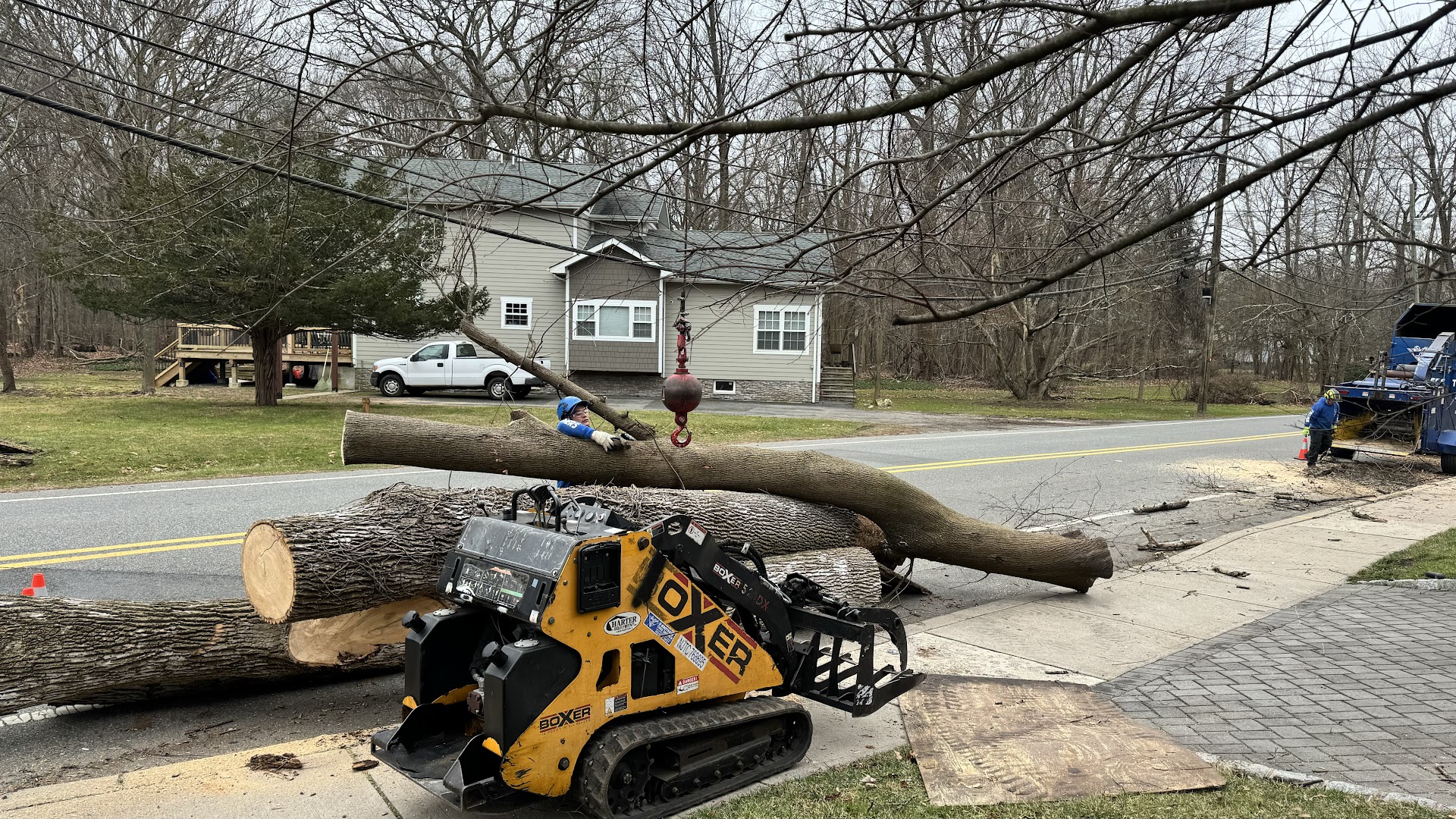 Loader clearing logs after a tree removal, Bergen County NJ