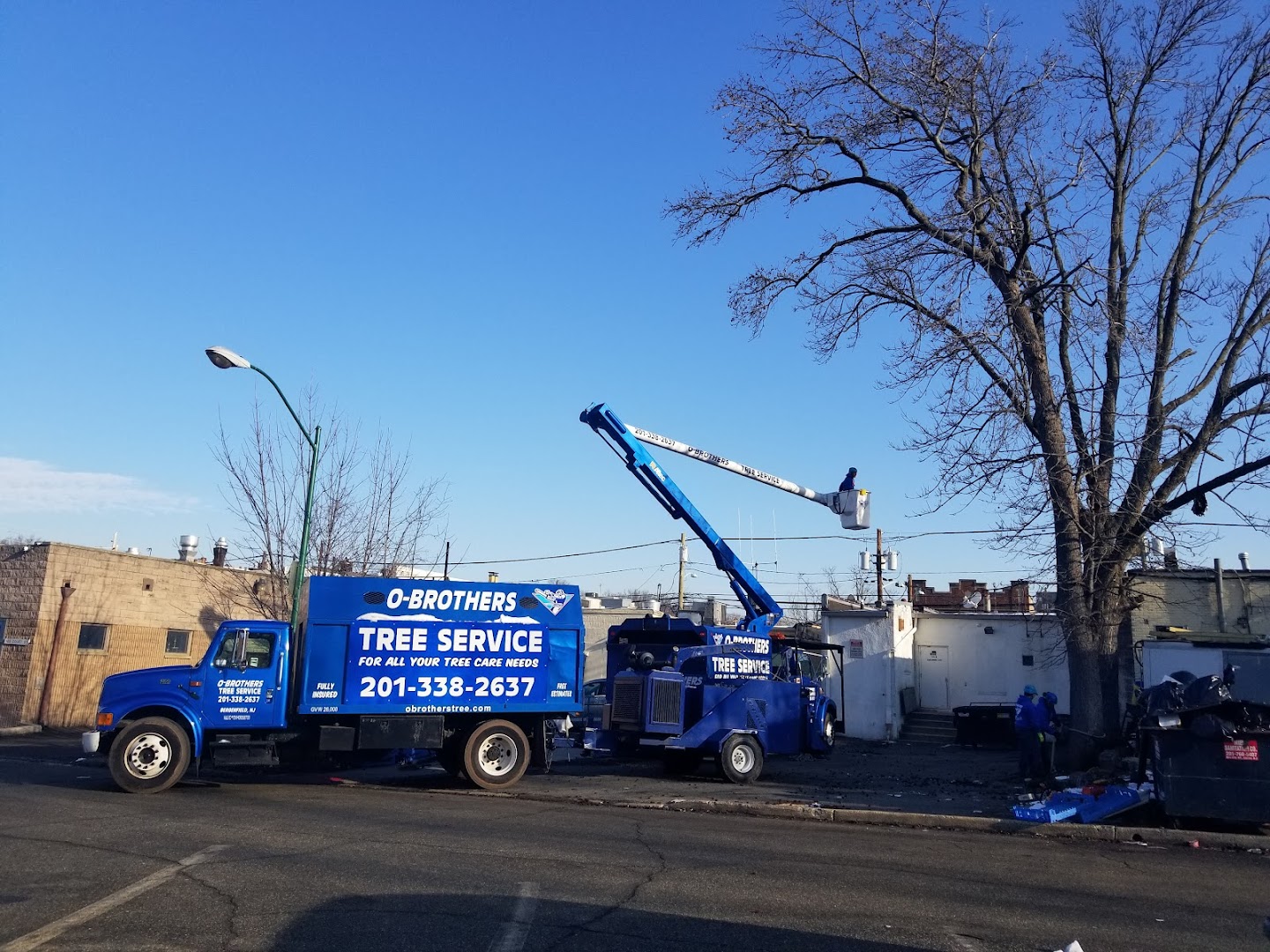 O'Brother Tree Service crane trucks on a job, Bergen County NJ