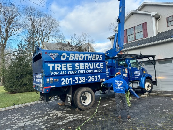 O'Brother Tree Service truck at a home, Bergen County NJ